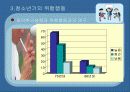 [청소년교육개론]청소년 문제의 의미와 성격,위험행동에 대한 조사와 대안책 27페이지