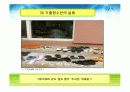 [청소년교육개론]청소년의 문제와 실태  18페이지