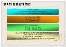 [청소년교육개론]청소년과 성  문제 조사 분석, 대안책 4페이지