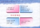 [청소년교육개론]청소년기 자아정체감의 발달   3페이지