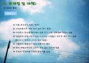 [지역사회복지론]부산 안창마을 지역 조사 20페이지