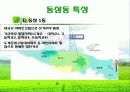 [지역사회복지론]부산 영도구 동삼동 지역조사 ppt 4페이지