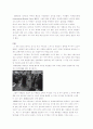 유럽에 거주하는 집시(Gypsy) 그들만의 삶과 애환 8페이지