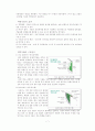 친환경건축-건물녹화 8페이지