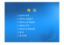 북한의 위성발사와 2차 핵실험 2페이지