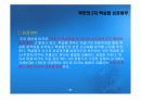 북한의 위성발사와 2차 핵실험 11페이지
