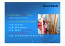 북한의 위성발사와 2차 핵실험 13페이지