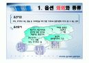 우리나라의 옵션거래와 옵션투자전략[ppt] 3페이지