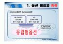 우리나라의 옵션거래와 옵션투자전략[ppt] 7페이지