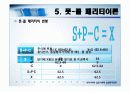 우리나라의 옵션거래와 옵션투자전략[ppt] 46페이지