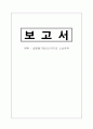 글로벌경영 - 해외 아웃소싱 전략 성공 사례 (나이키) 1페이지