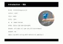 아이리버(i-river)의 글로벌 경영 3페이지