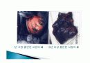 흡연과 건강 16페이지