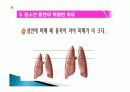 흡연과 건강 35페이지