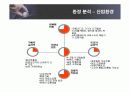 애플의 마케팅 전략 분석 7페이지
