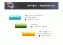 애플의 마케팅 전략 분석 11페이지
