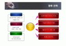 애플의 마케팅 전략 분석 25페이지