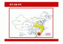 코카콜라의 중국시장 진출 전략 분석 17페이지