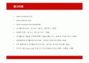 코카콜라의 중국시장 진출 전략 분석 22페이지