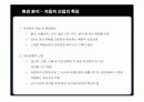 현대자동차의 미국시장 진출 전략 10페이지