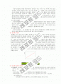 조직의 규모 5페이지