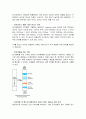 전기영동 (electrophoresis) 실험보고서 2페이지
