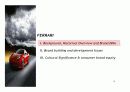 AMEX와 Ferrari를 통해서 본 브랜드 마케팅의 문화적 요인 분석 (영어자료) 5페이지