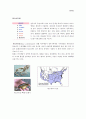 (환경)외래종 3페이지