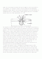[박막공학]Lithography 2페이지