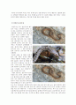 한국의 독사 6페이지