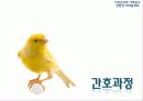 선천성 거대결장 29페이지