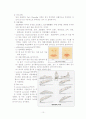 성인간호학 case study - COPD 11페이지