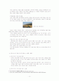 홍진hjc의 해외진출 사례 연구 (r&d.제품개발 전략) 10페이지