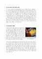 [전자문서]전자문서의 필요성, 기능과 효과, 장점, 도입 사례, 시장 전망 고찰 & U-paperless 구현을 위한 전자문서의 모든 것 8페이지