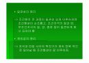 학습에 대한 행동주의적 접근 (파블로프의 고전적 조건화, 쏜다이크의 시행착오 학습) 14페이지