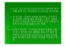 학습에 대한 행동주의적 접근 (파블로프의 고전적 조건화, 쏜다이크의 시행착오 학습) 16페이지