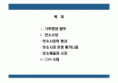 탄소배출권(CER)의 이해와 CDM사업 2페이지