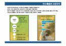 탄소배출권(CER)의 이해와 CDM사업 10페이지