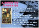 일본 가부키(歌舞技) 5페이지