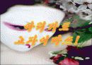 일본 가부키(歌舞技) 17페이지