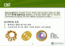 Carbon Nano Tube(탄소나노튜브) (CNT)의 구조 및 물성, 응용기술, 응용제품 4페이지