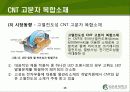 Carbon Nano Tube(탄소나노튜브) (CNT)의 구조 및 물성, 응용기술, 응용제품 16페이지