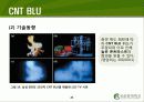 Carbon Nano Tube(탄소나노튜브) (CNT)의 구조 및 물성, 응용기술, 응용제품 21페이지