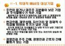 M&A의 총괄 체계 및 사례분석 22페이지