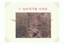 자신을 행복하게 만드는 법 8페이지