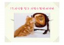 자신을 행복하게 만드는 법 14페이지