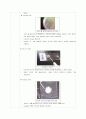 Identification of unknown isolate from a chamber pot of toilet  5페이지