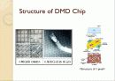 DLP (Digital Light Processing) 기술동향 조사 및 예측 발표 자료 9페이지