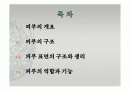 피부의 구조와 기능 2페이지