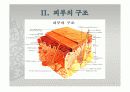피부의 구조와 기능 4페이지